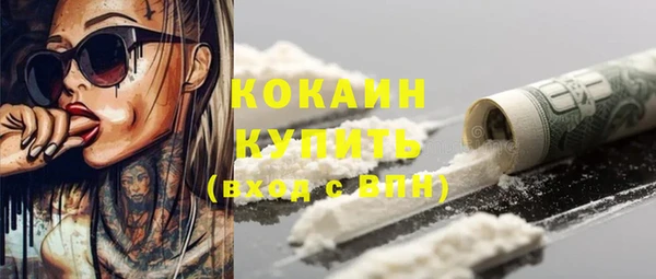 винт Абаза